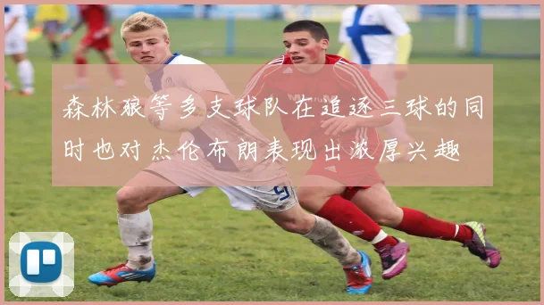 森林狼等多支球队在追逐三球的同时也对杰伦布朗表现出浓厚兴趣